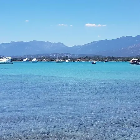 Air-conditioned 6 Persons Two Bathrooms 500 M Sea Near Porto Vecchio Lejlighed Zonza